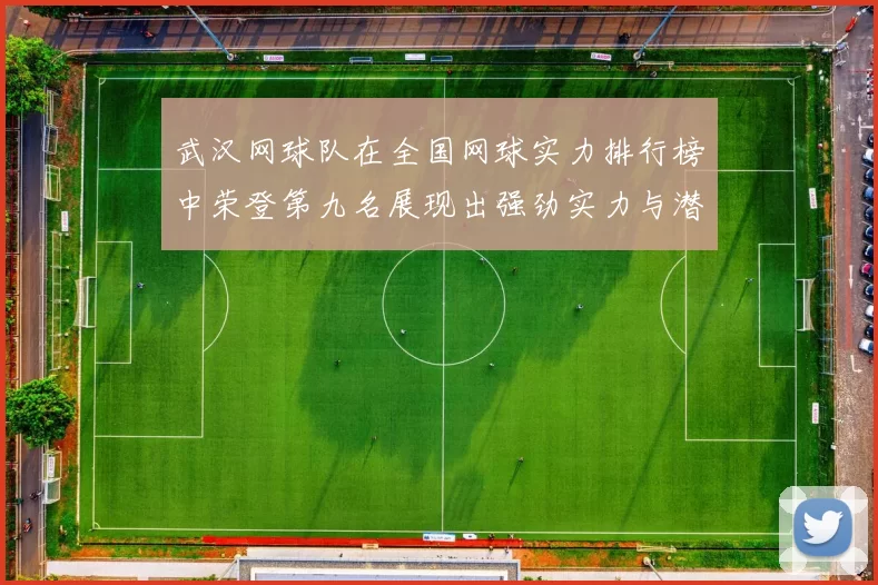 武汉网球队在全国网球实力排行榜中荣登第九名展现出强劲实力与潜力